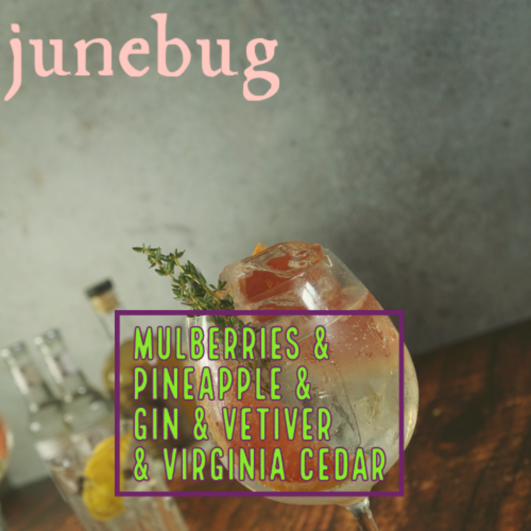 Junebug. Mulberries, pineapple, gin, vetiver, virginia cedar. The image depicts a mixed drink in the foreground on a dark wood table with a gray wall.